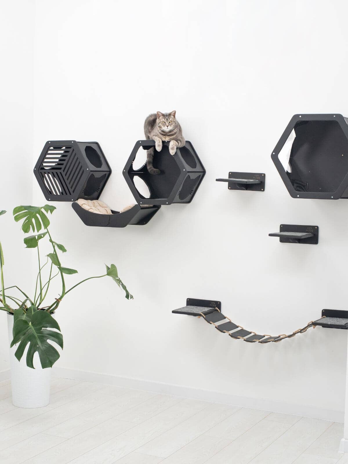 Cat Curve Wall Bed Black