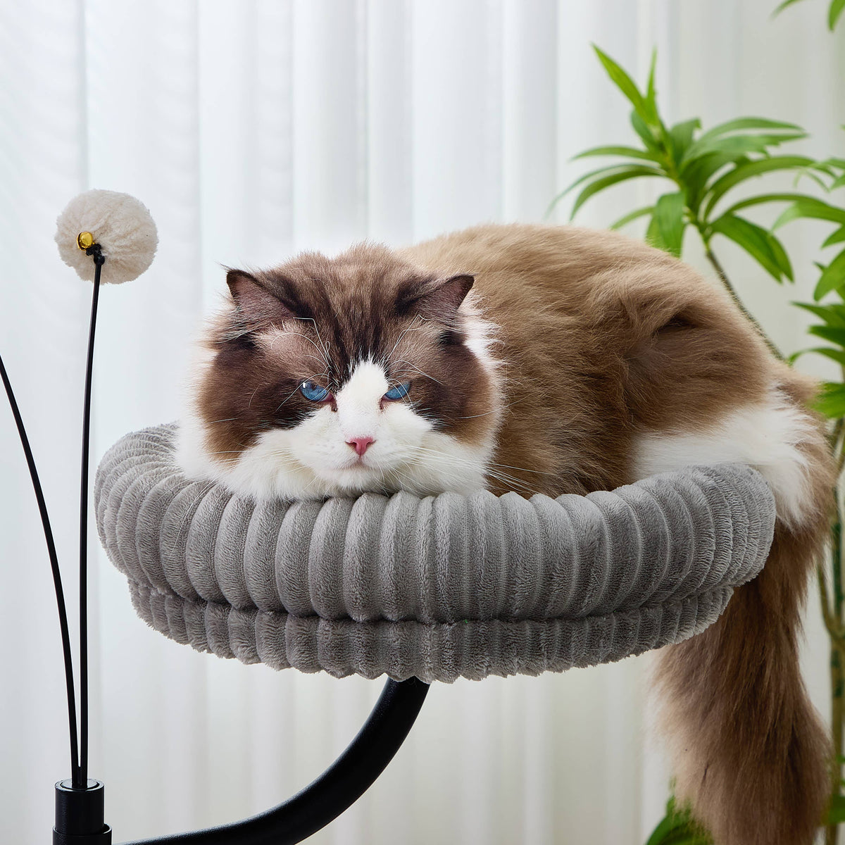 NestFlex Desk Mount Cat Perch System