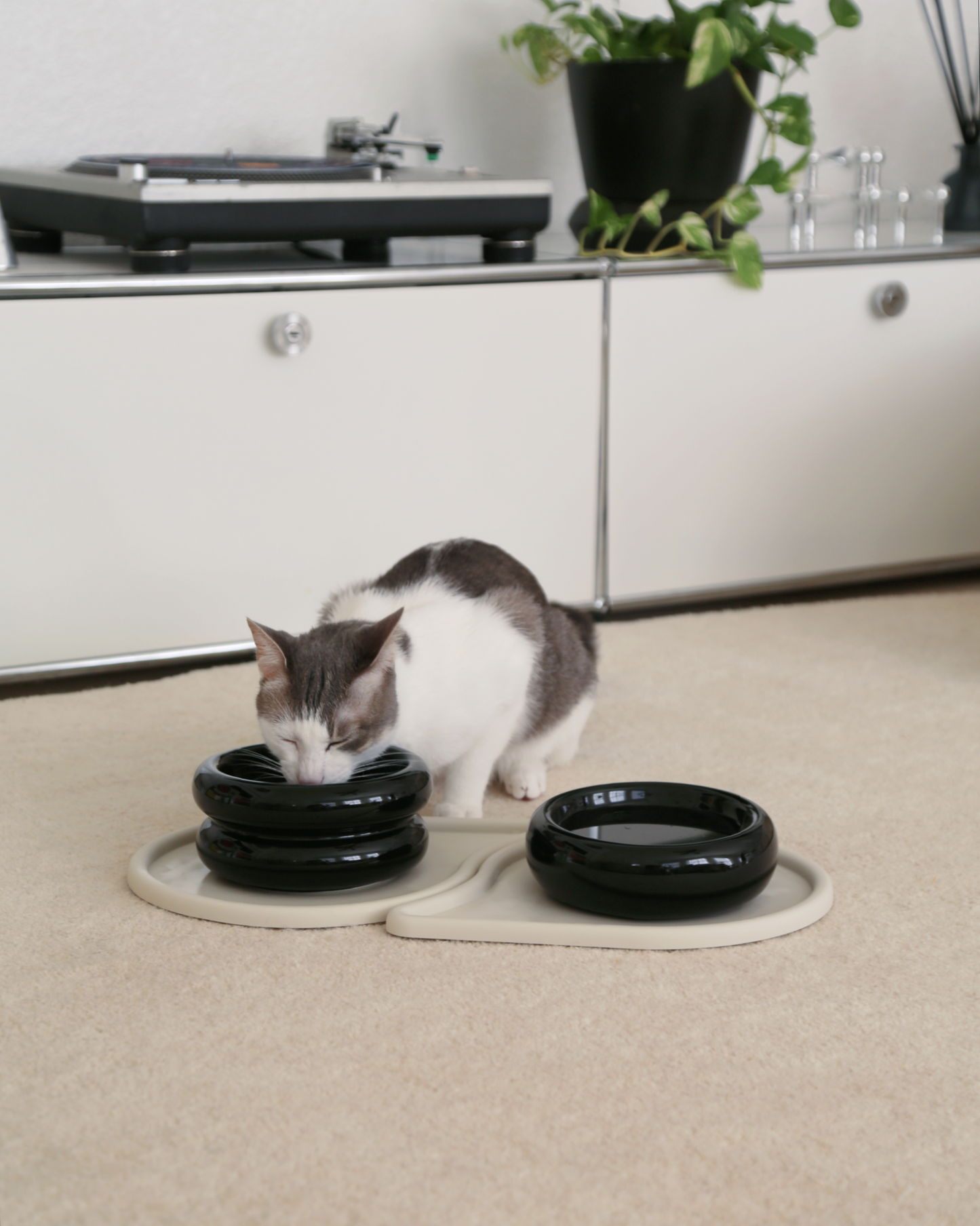 Elevated Halo Pet Bowl in Onyx