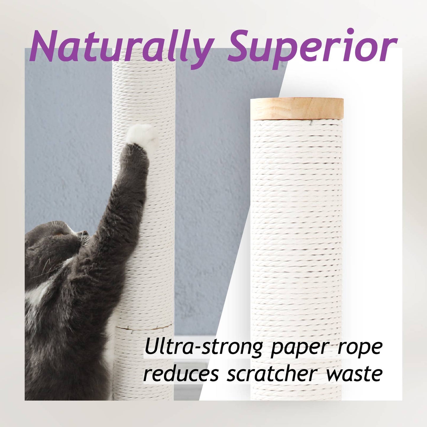 Premium Comfort Scratching Post