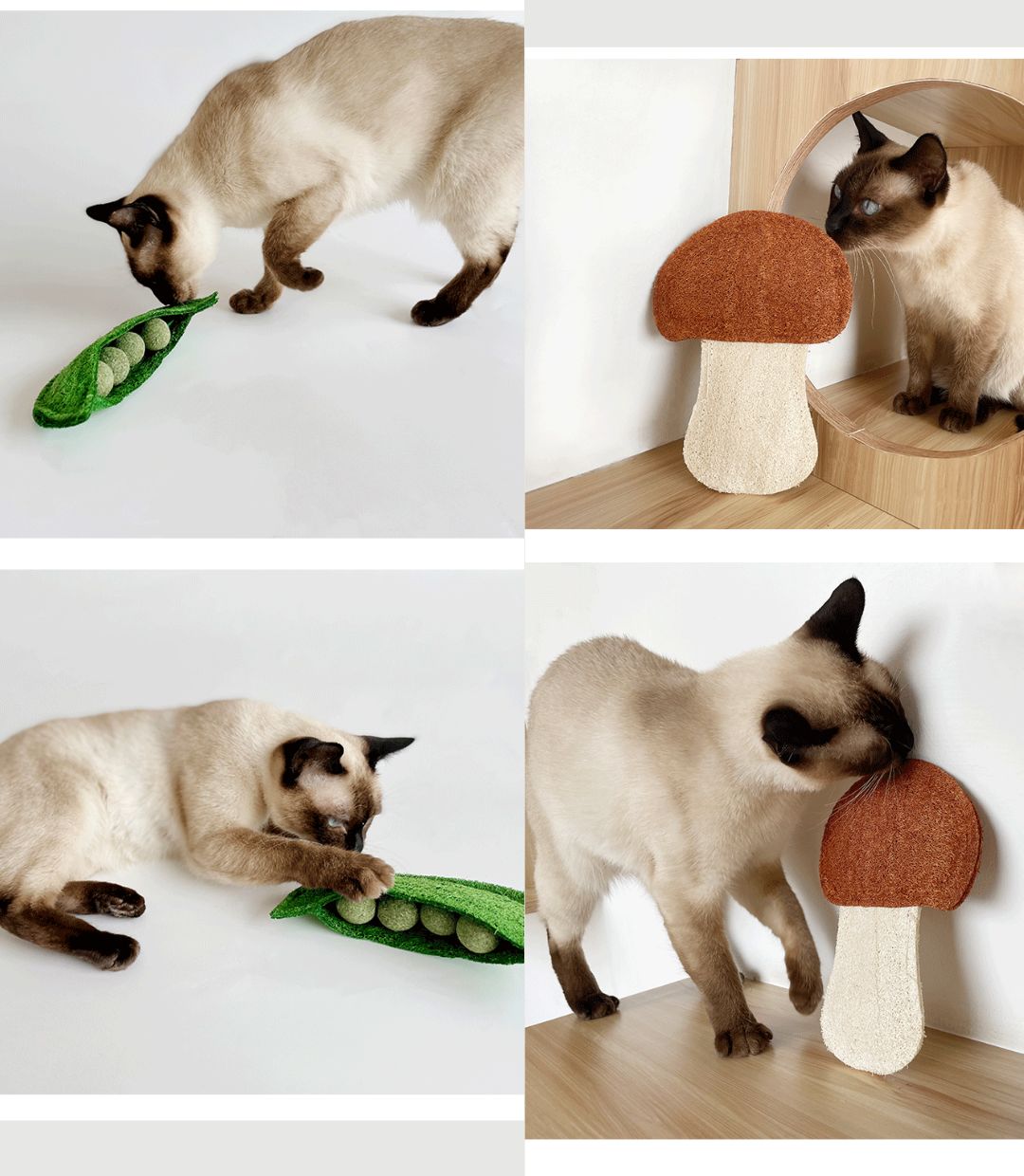 CATWANT Natural Loofah Cat Toys