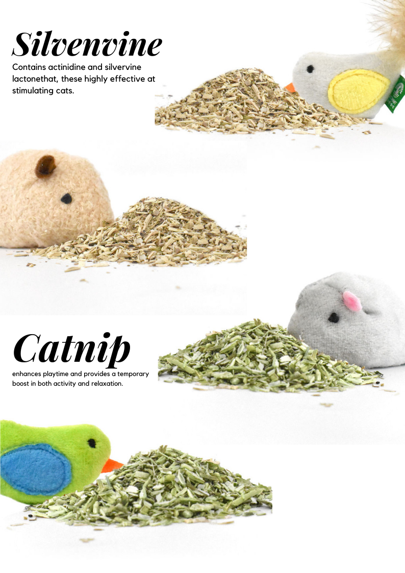 Catnip/Silvervine Small Pet Toys, 2-Pack