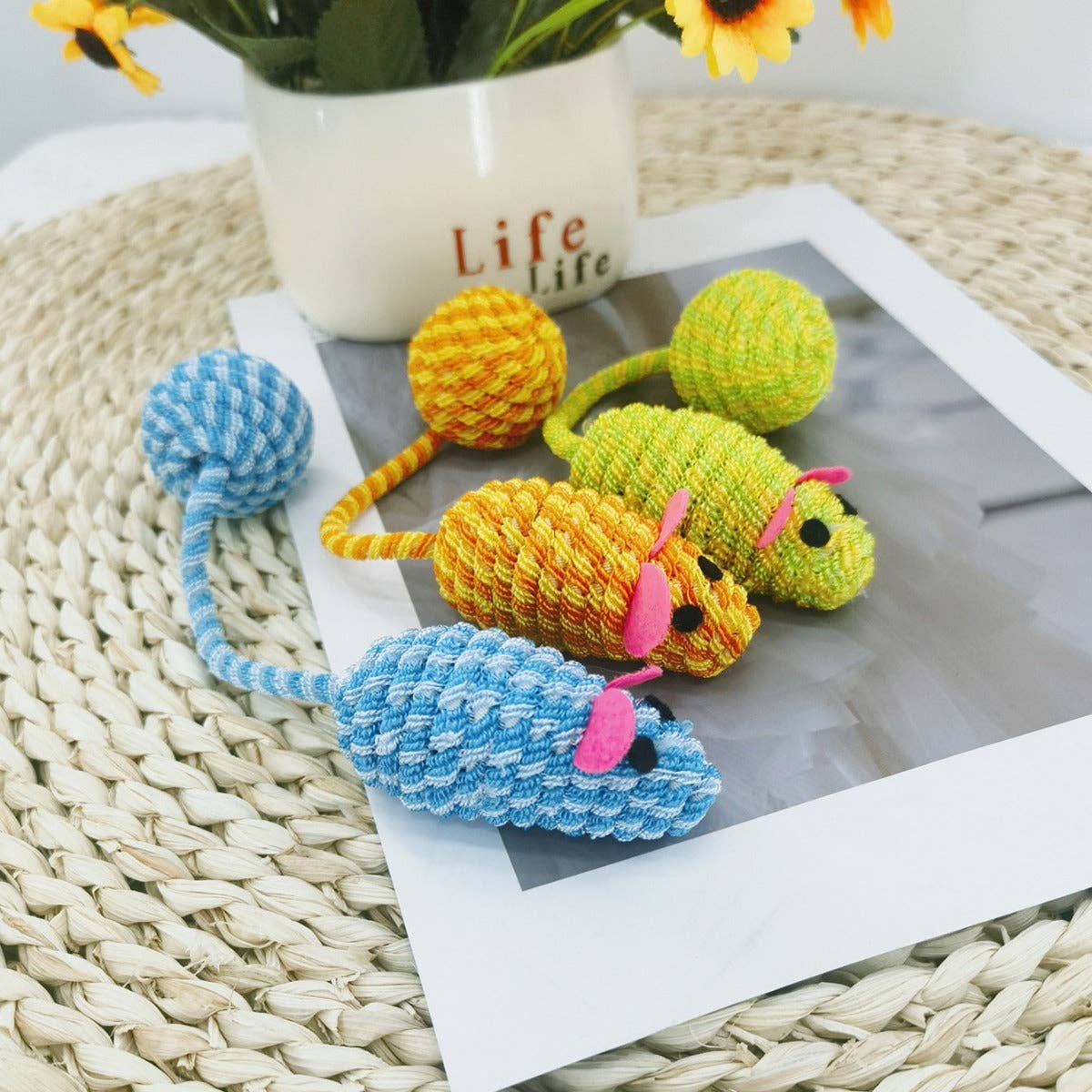 Moo - Long Tail Mouse Chase Cat Toy