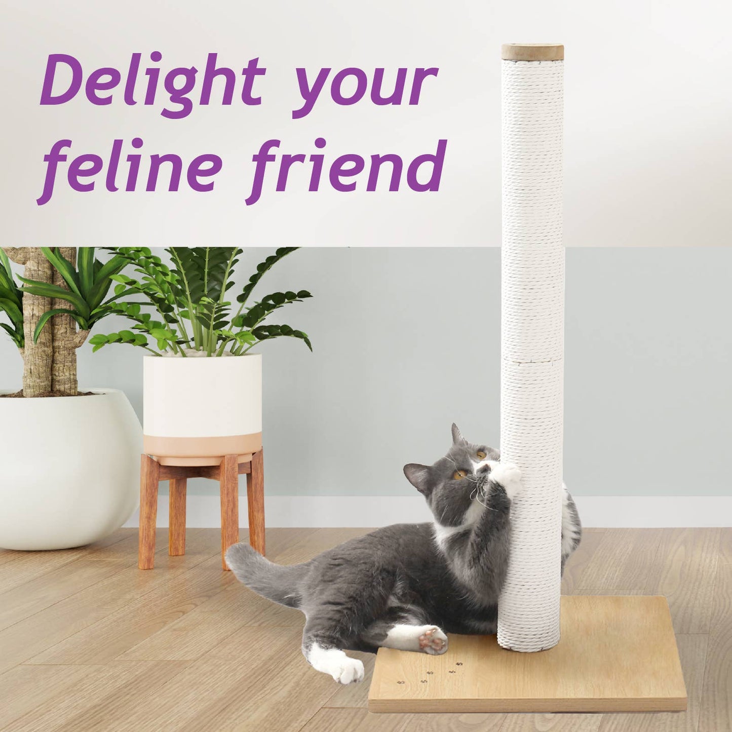 Premium Comfort Scratching Post