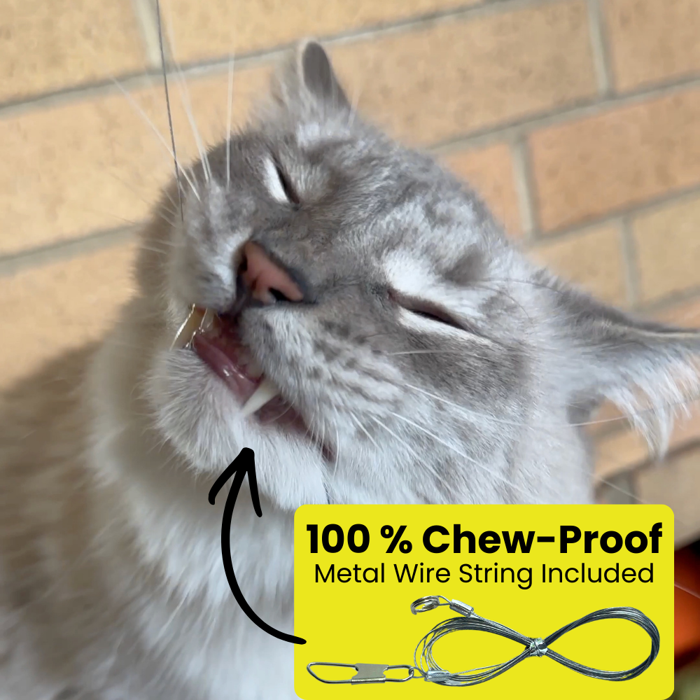 Repounce Heavy Chewers Pack – Replacement Strings for Forever Stick