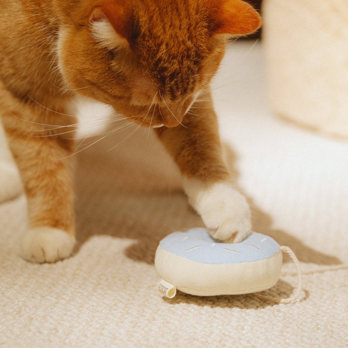 Cat Toy Donut