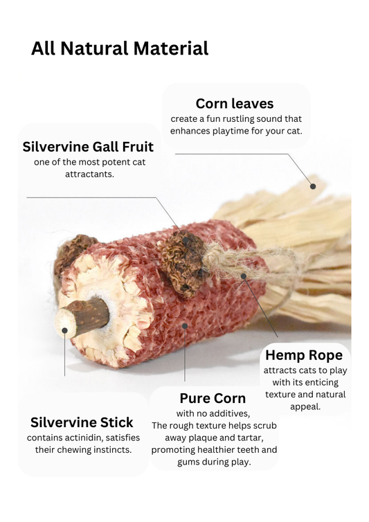 Silvervine Corn Goldfish