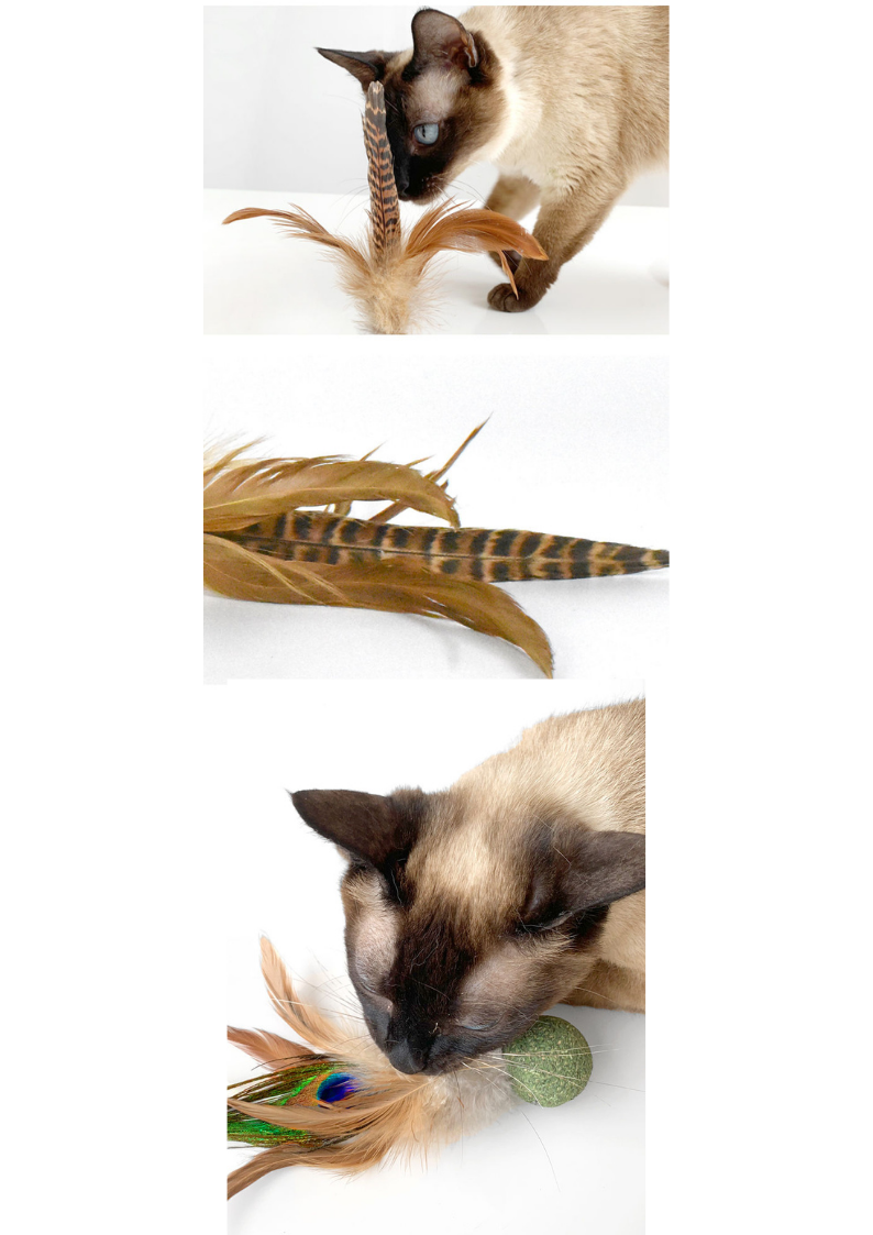 Silvervine / Catnip Birdie Cat Toy