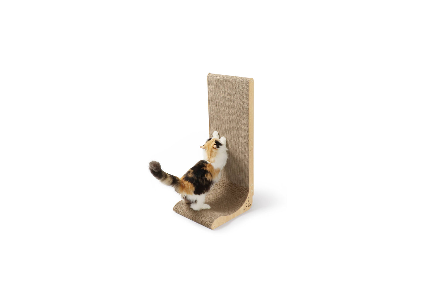 Premium Comfort Scatcher Wall