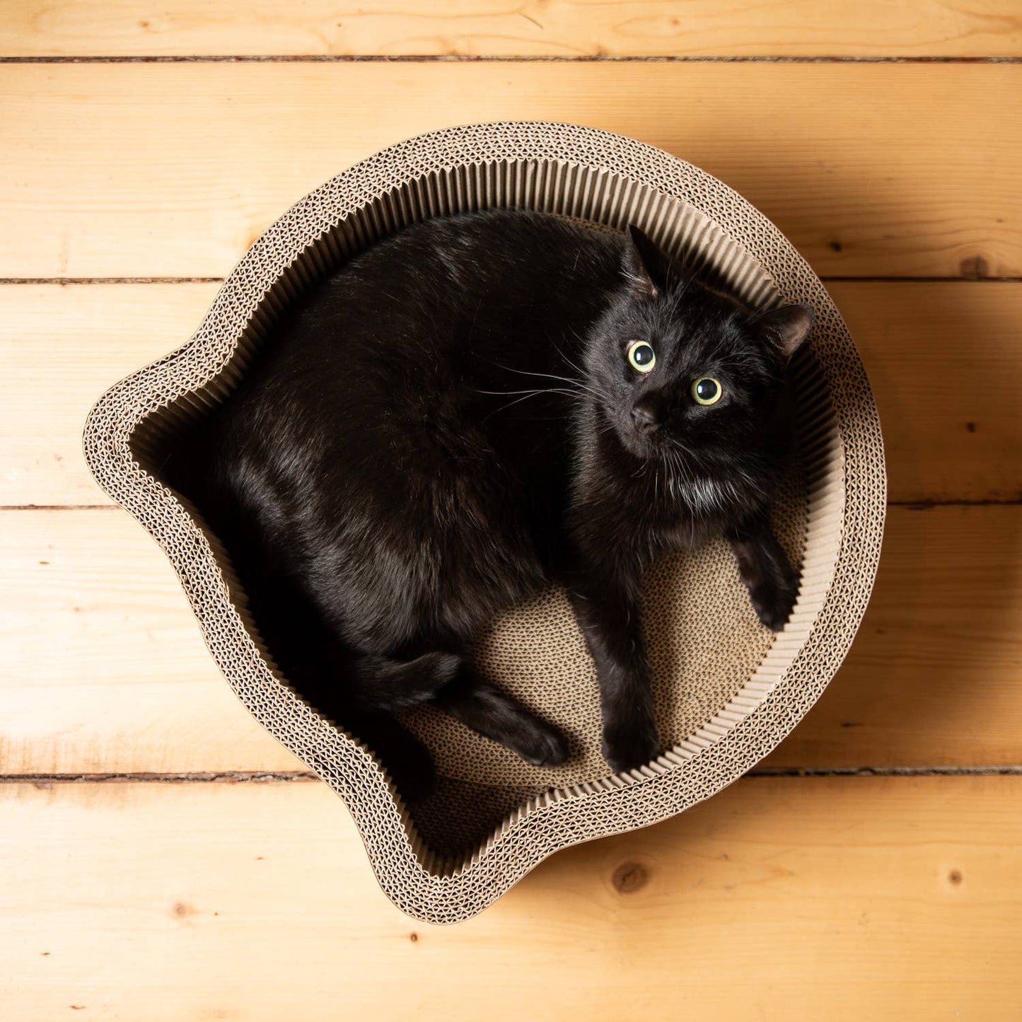 Cat-Headed Scratcher Bed (Birch)