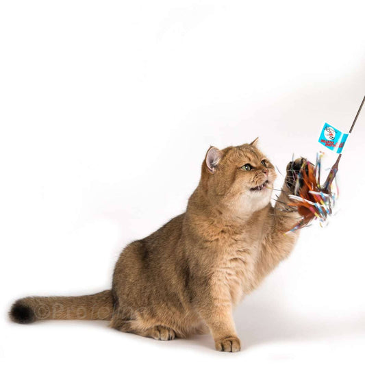 Go Cat 18" Sparkling Kitty Duster Cat Wand Toy