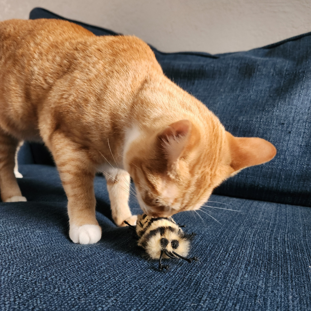 Go Cat Cat-A-Pila Wand Attachment — Interactive Cat Toy