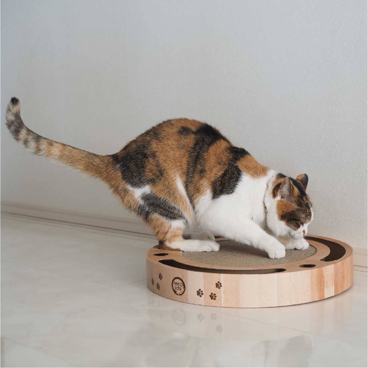 Necoichi Interactive Track Ball Cat Scratcher