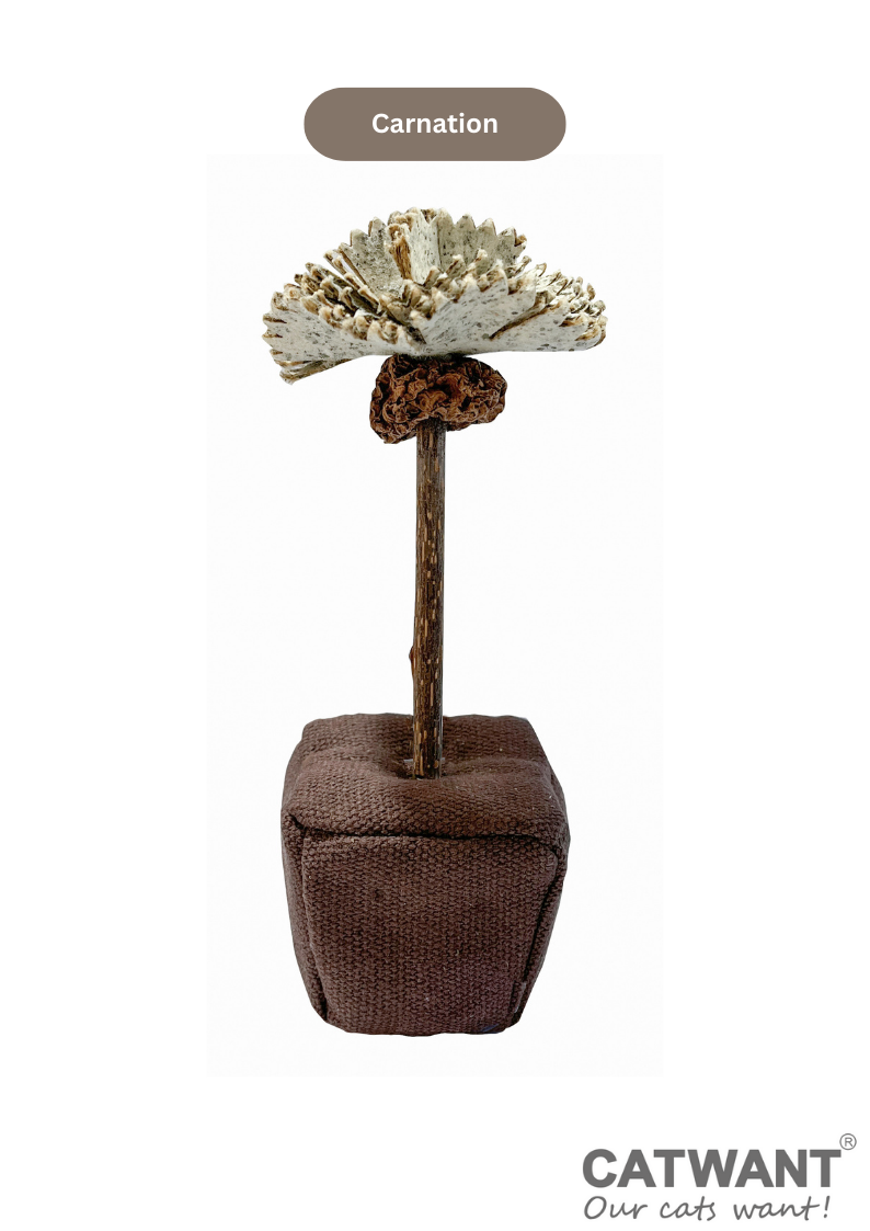 CATWANT Catnip Paper Flower Cat Toys