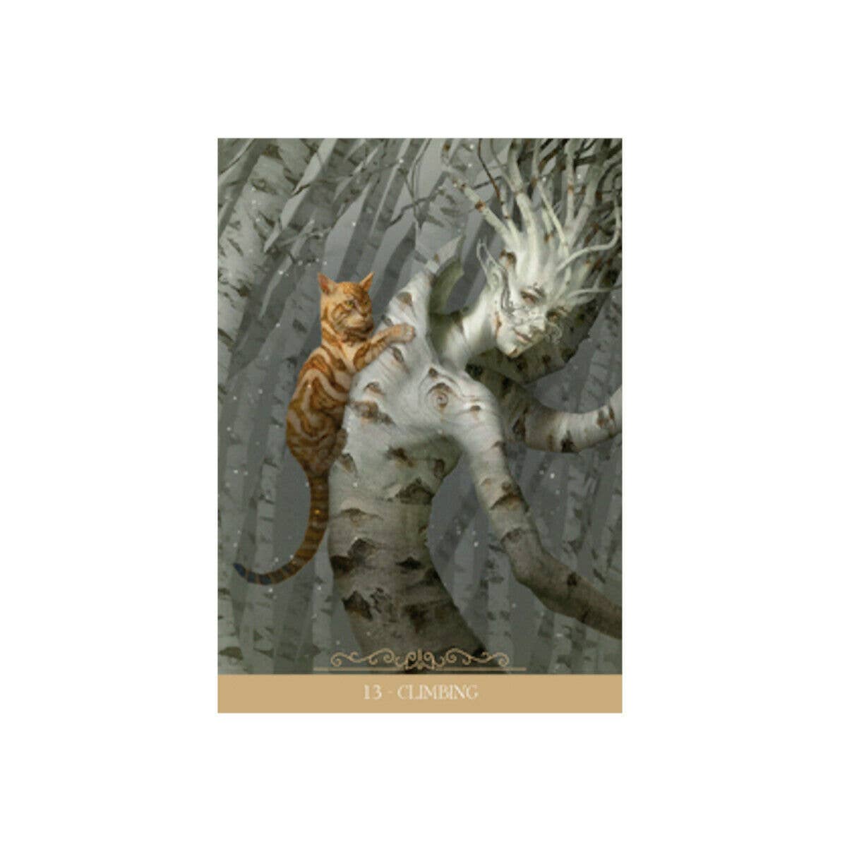 Barbieri Fantasy Cats Oracle Cards