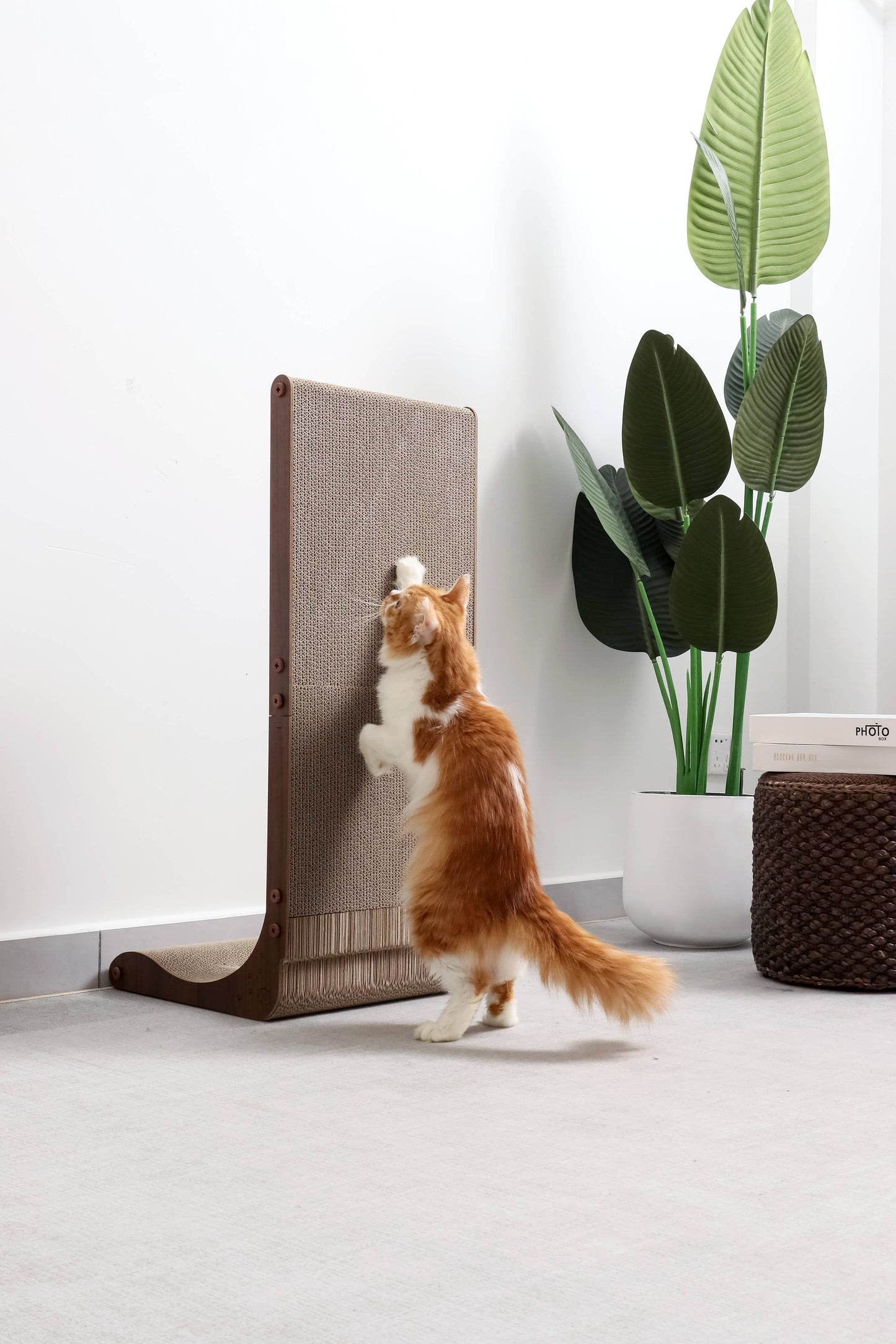 Premium Comfort Scatcher Wall