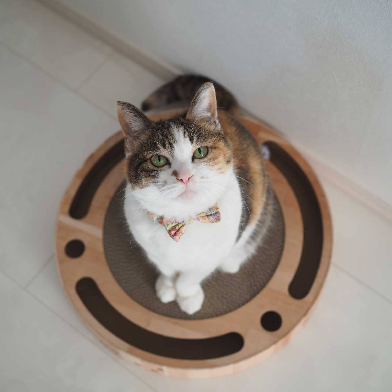 Necoichi Interactive Track Ball Cat Scratcher