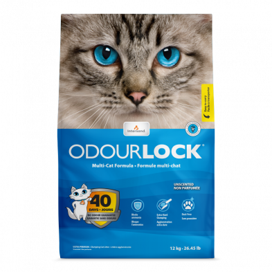 INTERSAND ODOURLOCK Clumping Unscented Cat Litter