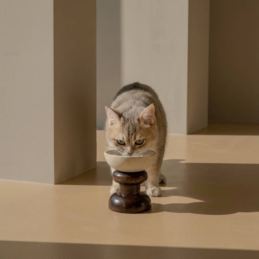 Fontana Stone Cat Bowl II
