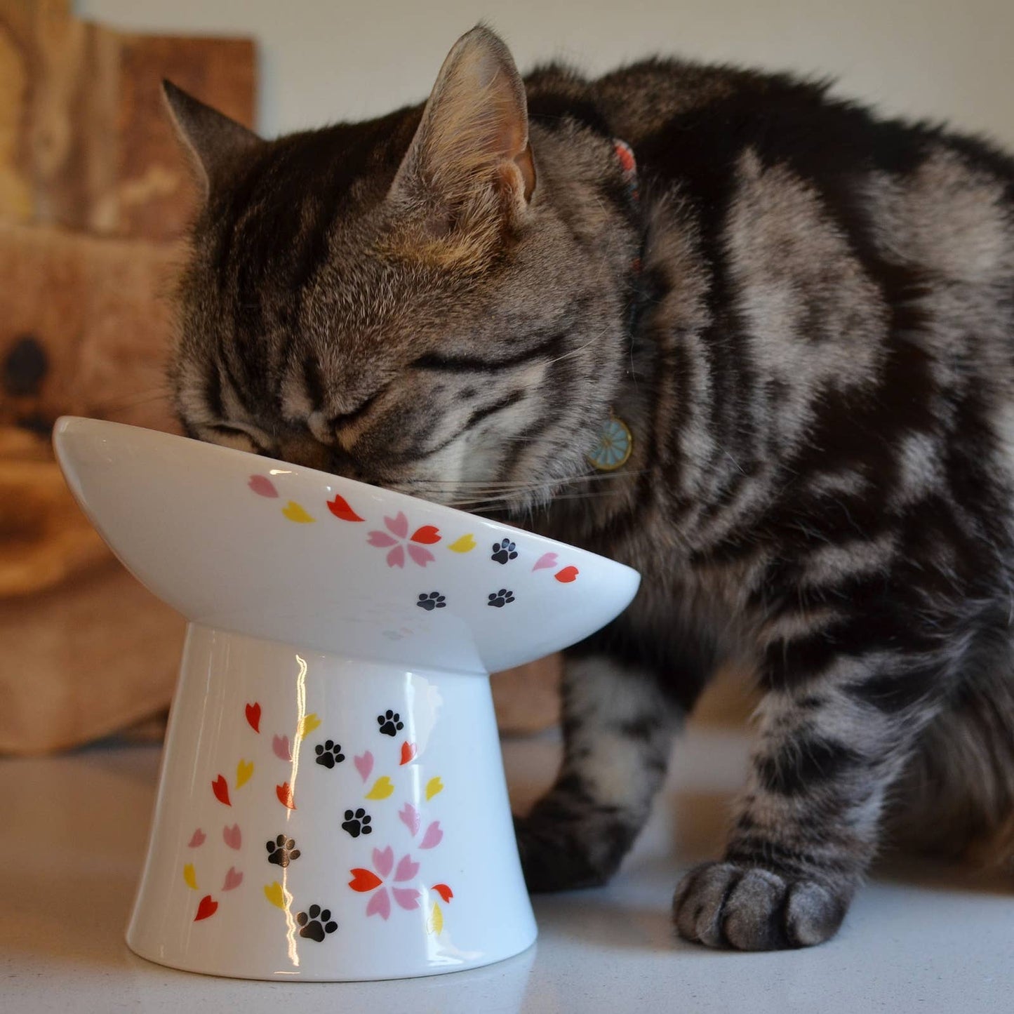 Necoichi Tilted Stress Free Raised Cat Food Bowl (Sakura Limited Edition）
