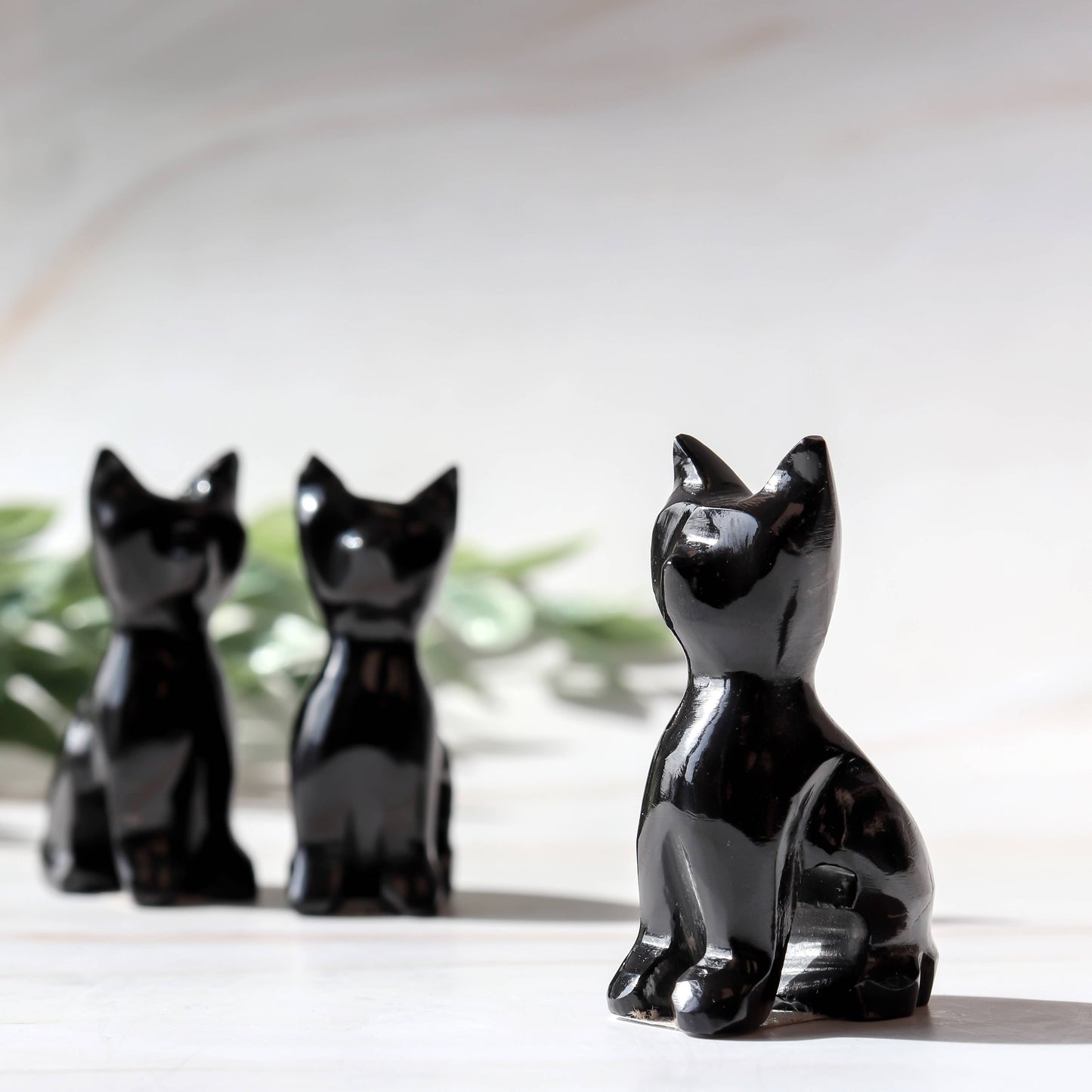 Black Obsidian Cat