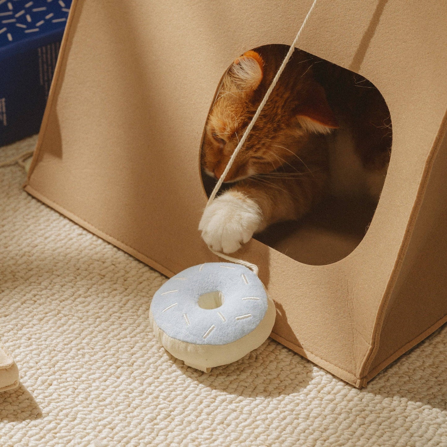 Cat Toy Donut