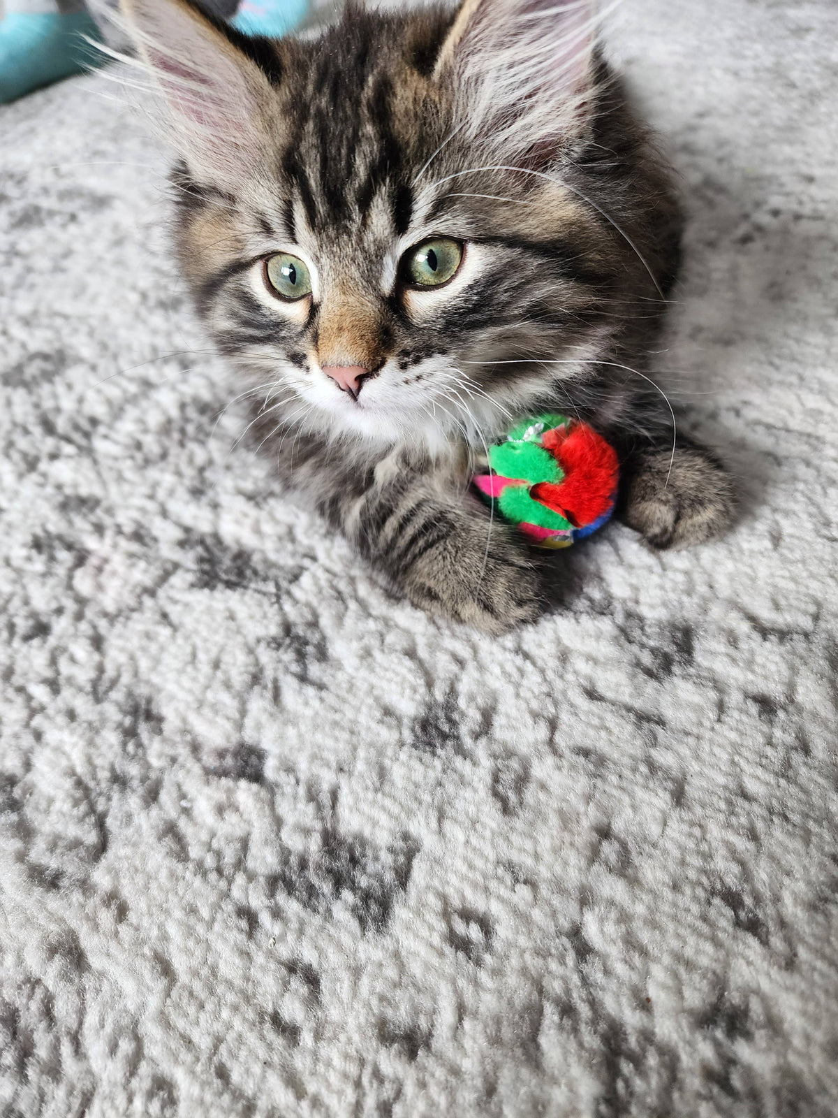Mini Crinkle Cat Balls - 4-Pack