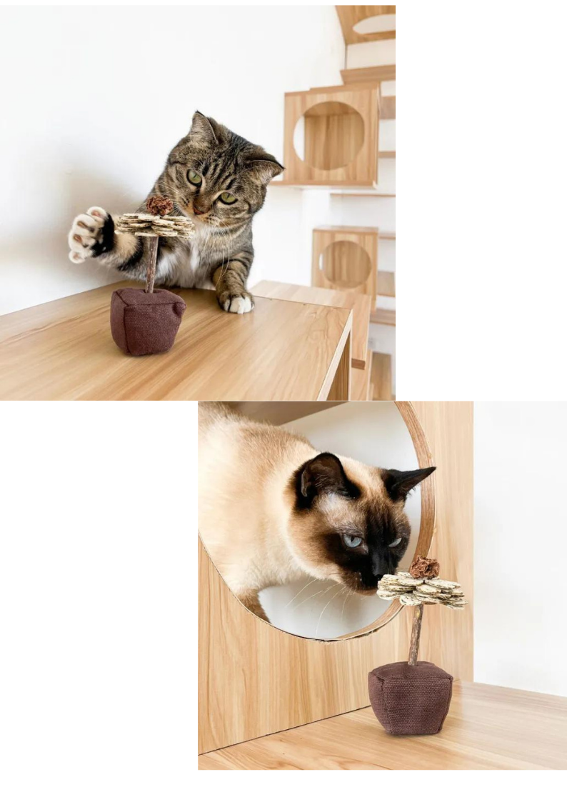 CATWANT Catnip Paper Flower Cat Toys