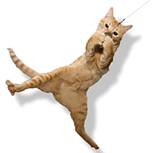 Go Cat Da Bird Refill — Da Wild Thing Multi-Feather Attachment