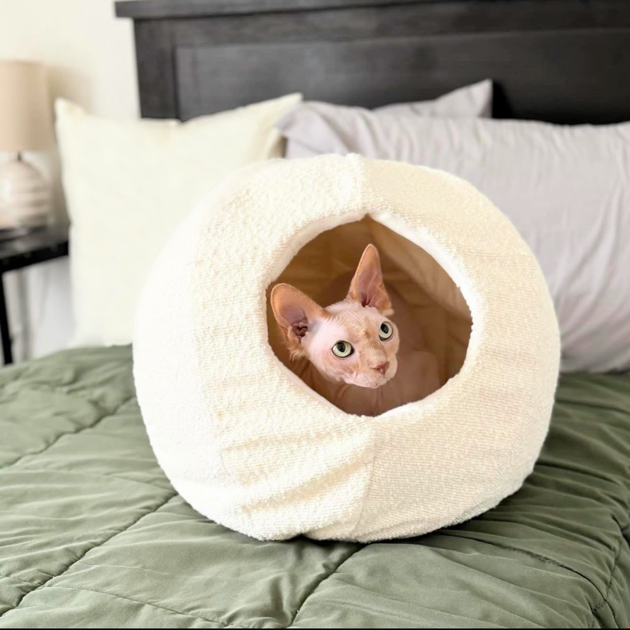 Moon Pet Cave - Boucle