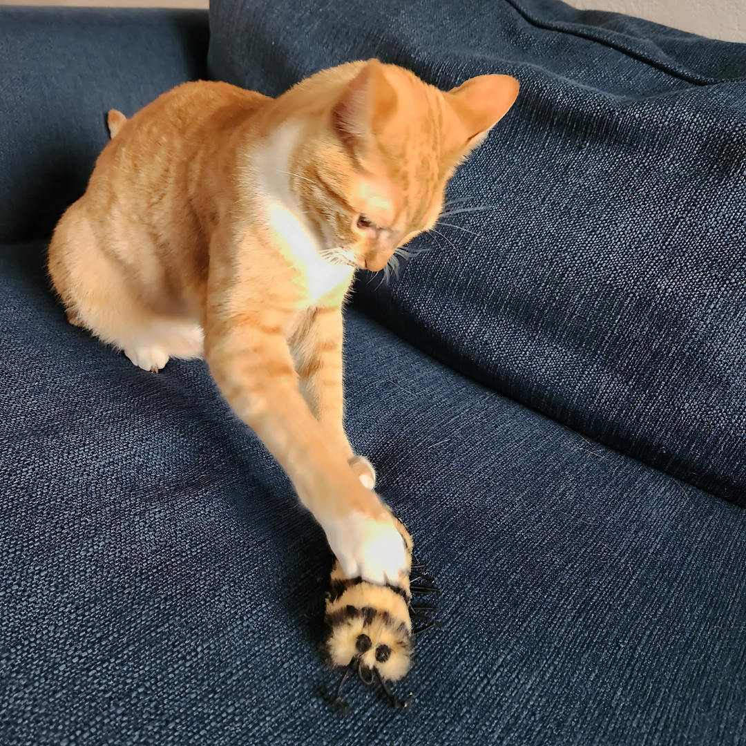 Go Cat Cat-A-Pila Wand Attachment — Interactive Cat Toy