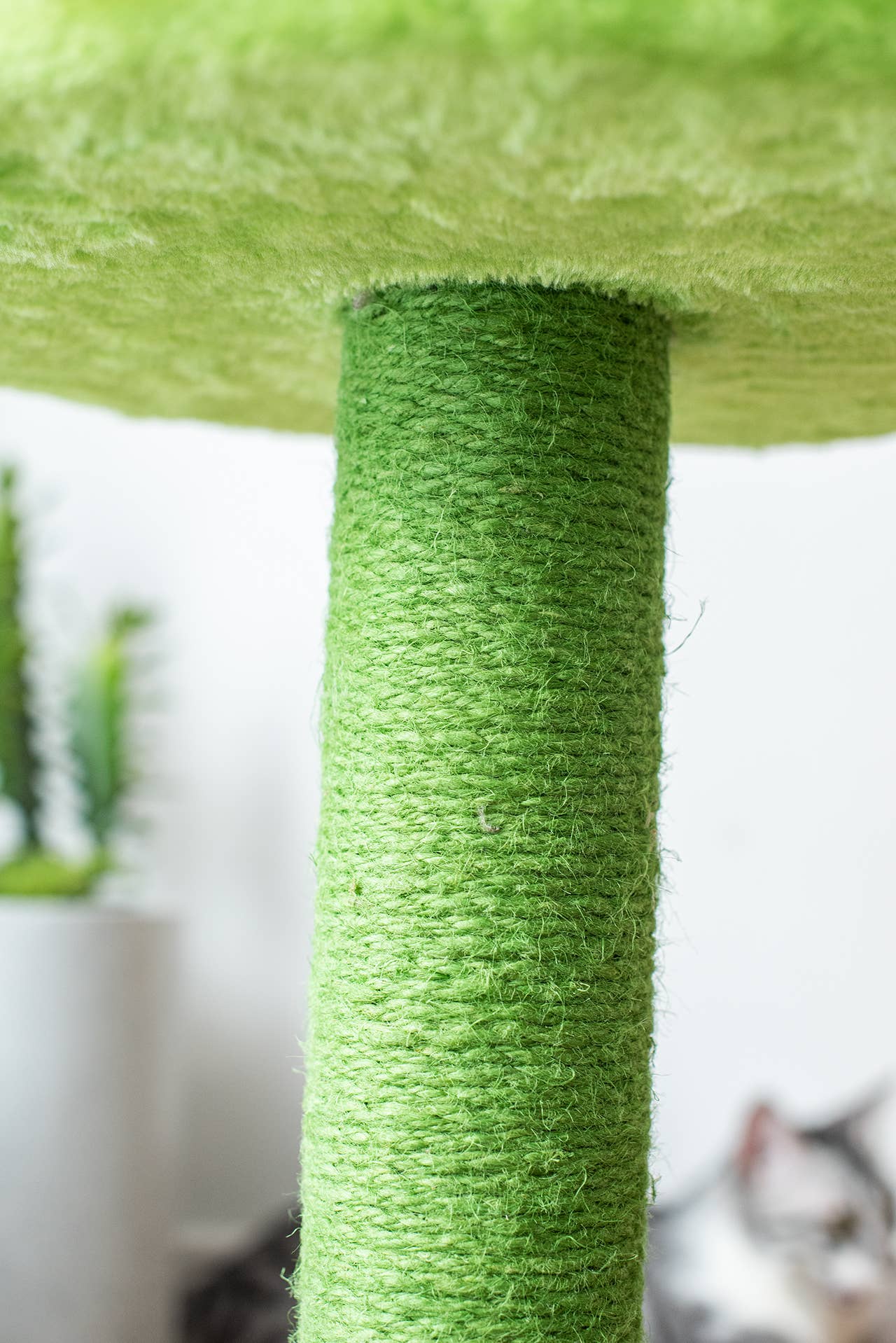 Catry Sunflower Cat Scratcher