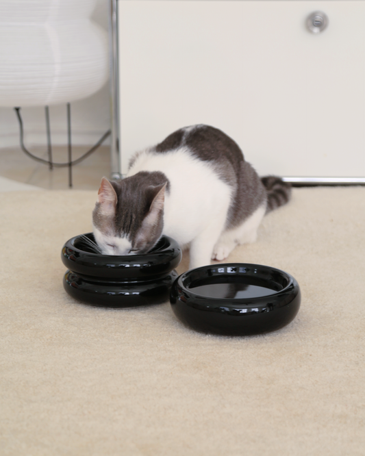 Elevated Halo Pet Bowl in Onyx