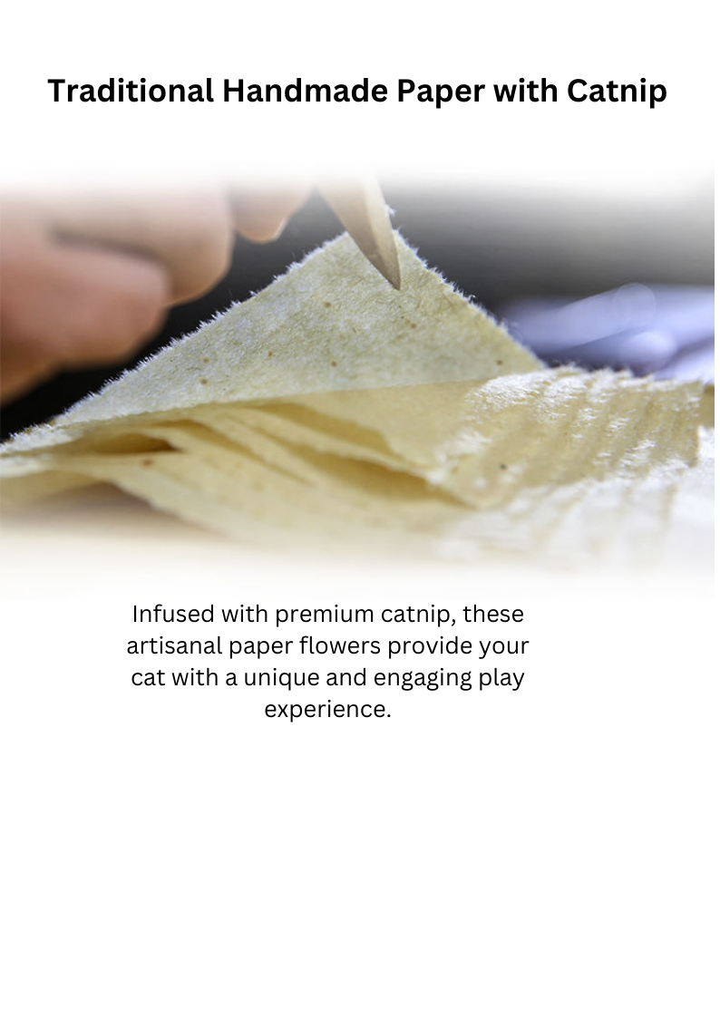 CATWANT Catnip Paper Flower Cat Toys