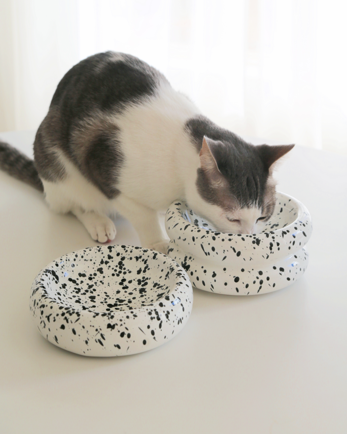 Elevated Halo Cat Bowl in Ink