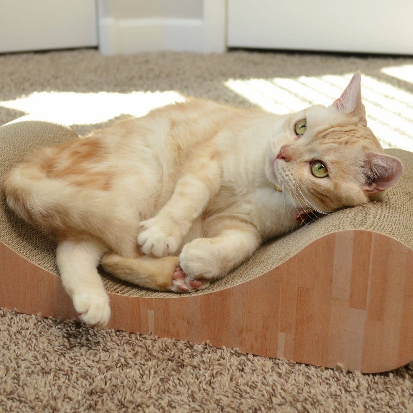 Premium Comfort Curved Cat Lounger Large (Oak)