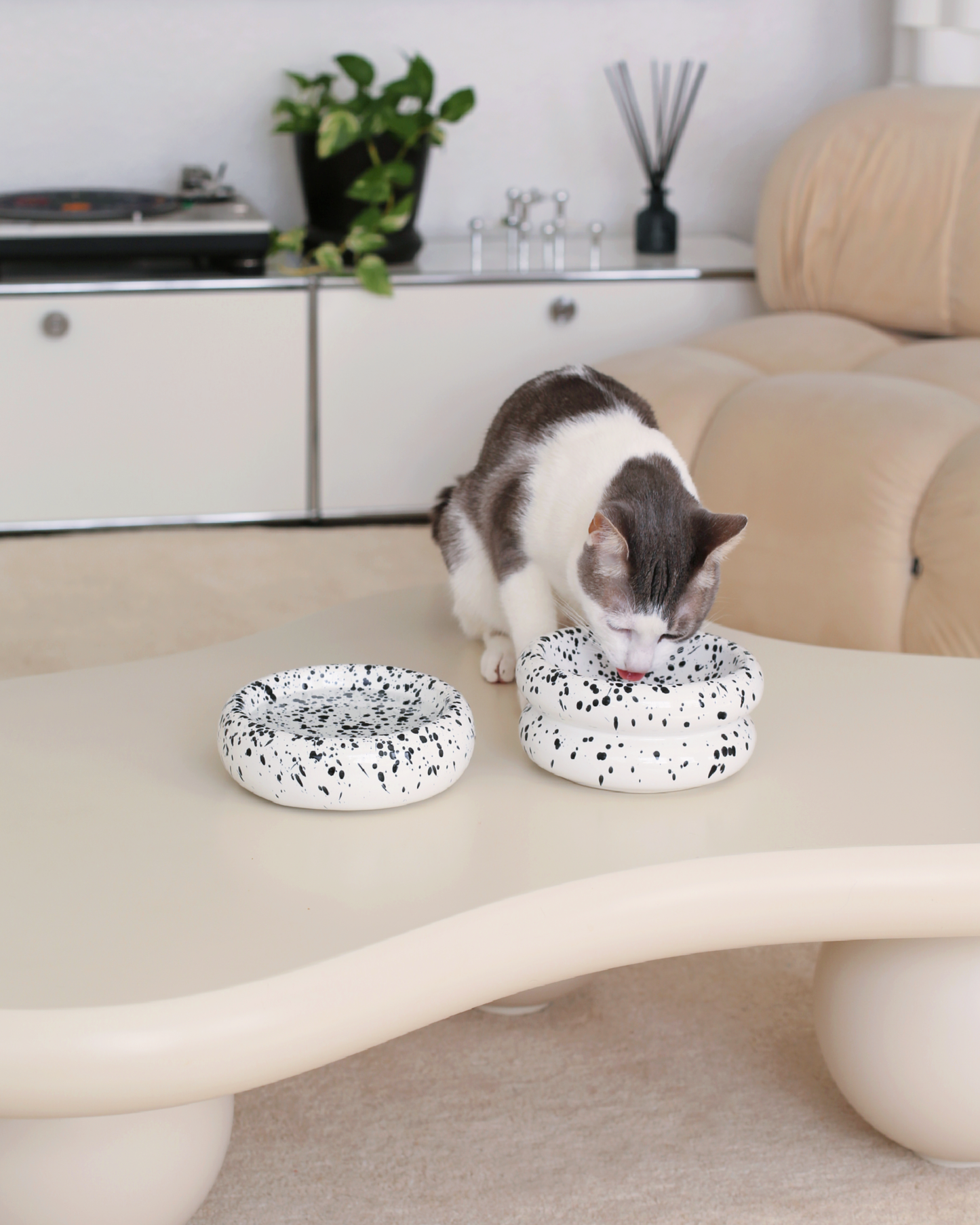 Elevated Halo Cat Bowl in Ink