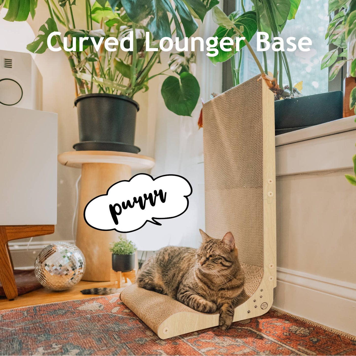 Premium Comfort Scatcher Wall
