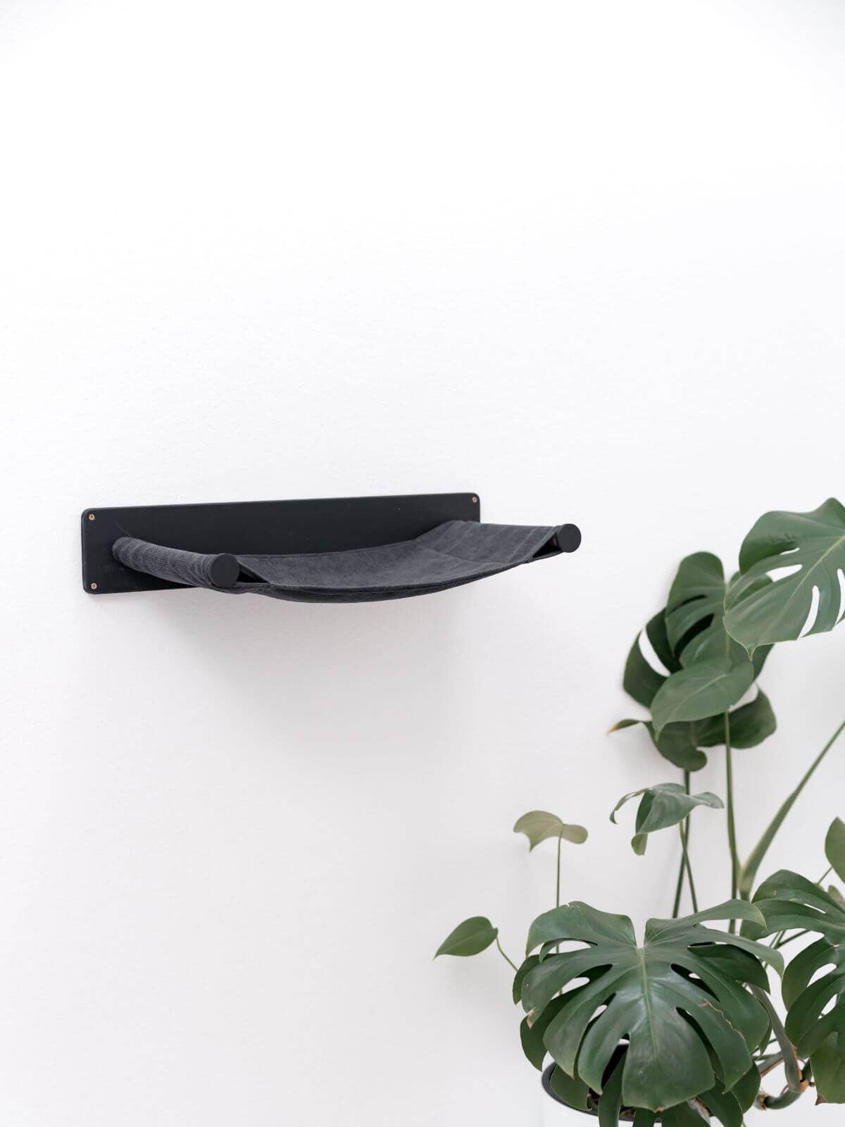 Cat Hammock Shelf