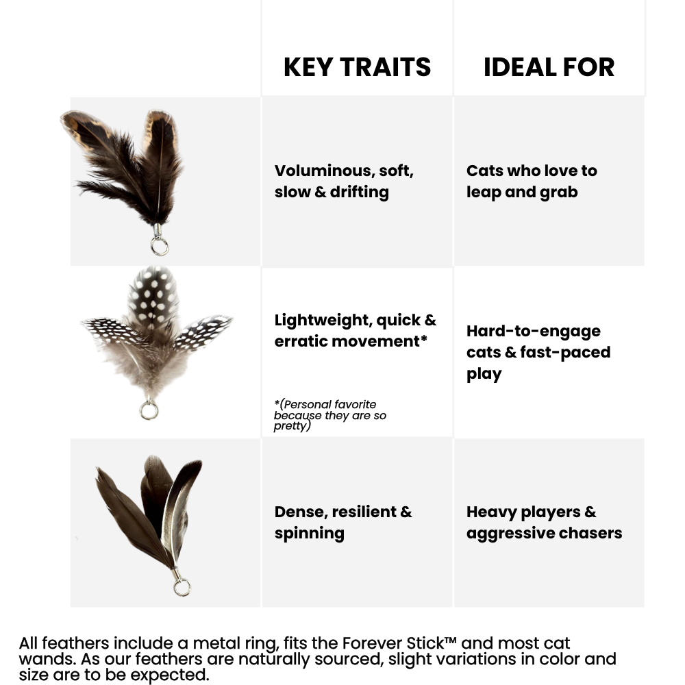 Repounce Feather Toy Attachment Set (3-Piece)