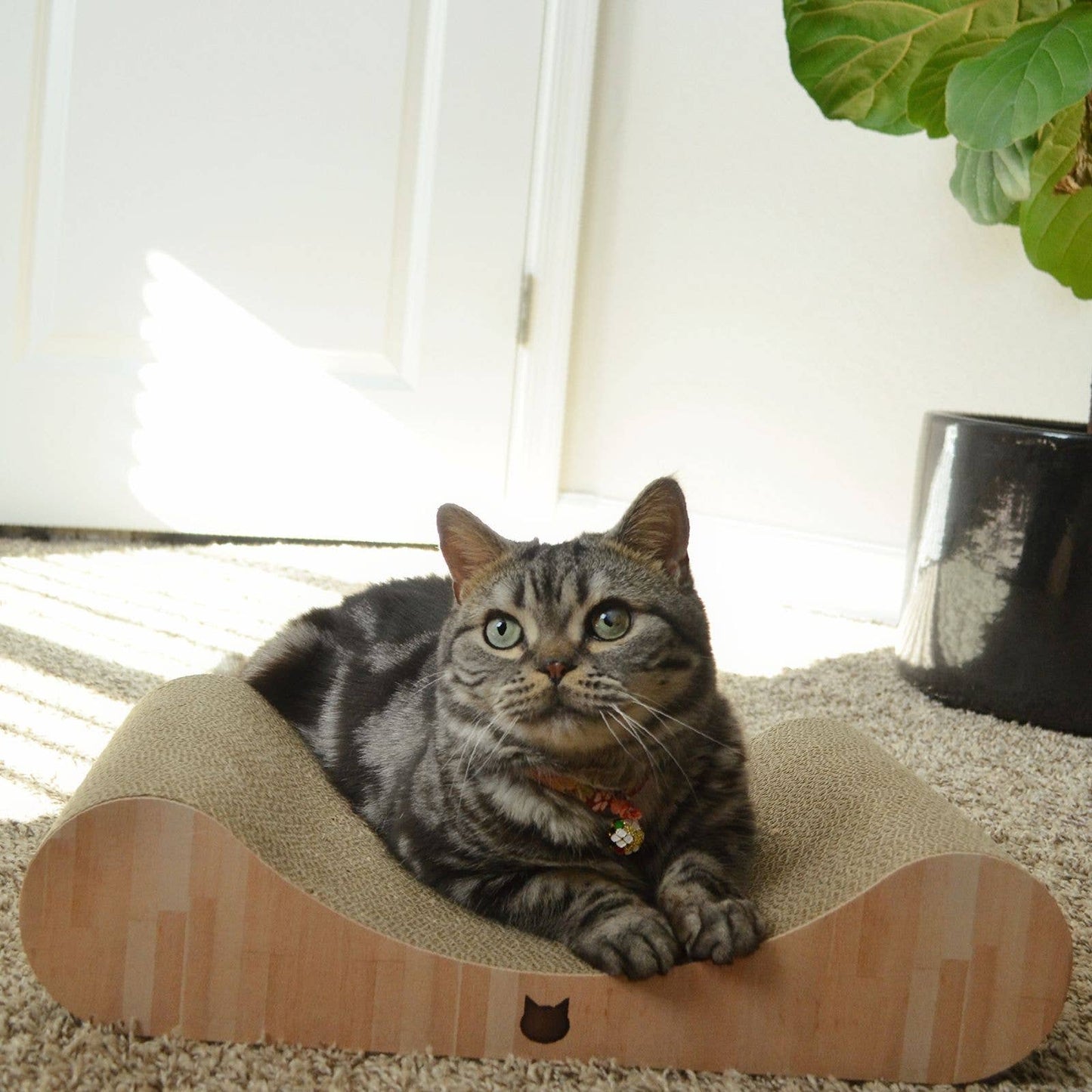Premium Comfort Curved Cat Lounger (Oak)