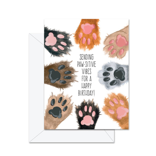 Jaybee Designs Greeting Card | Sending Paw-sitive Vibes For A Happy Birthday