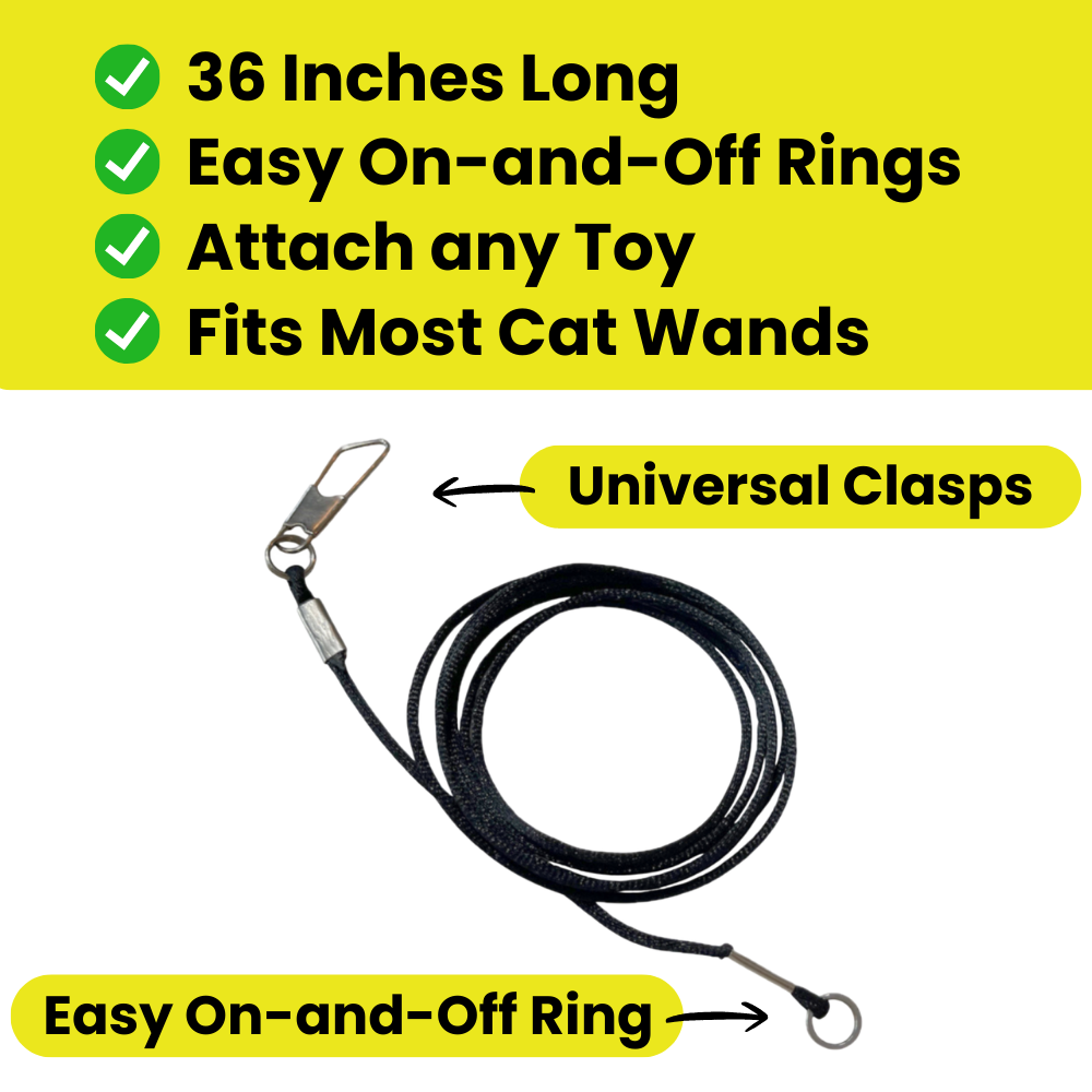 Repounce Heavy Chewers Pack – Replacement Strings for Forever Stick
