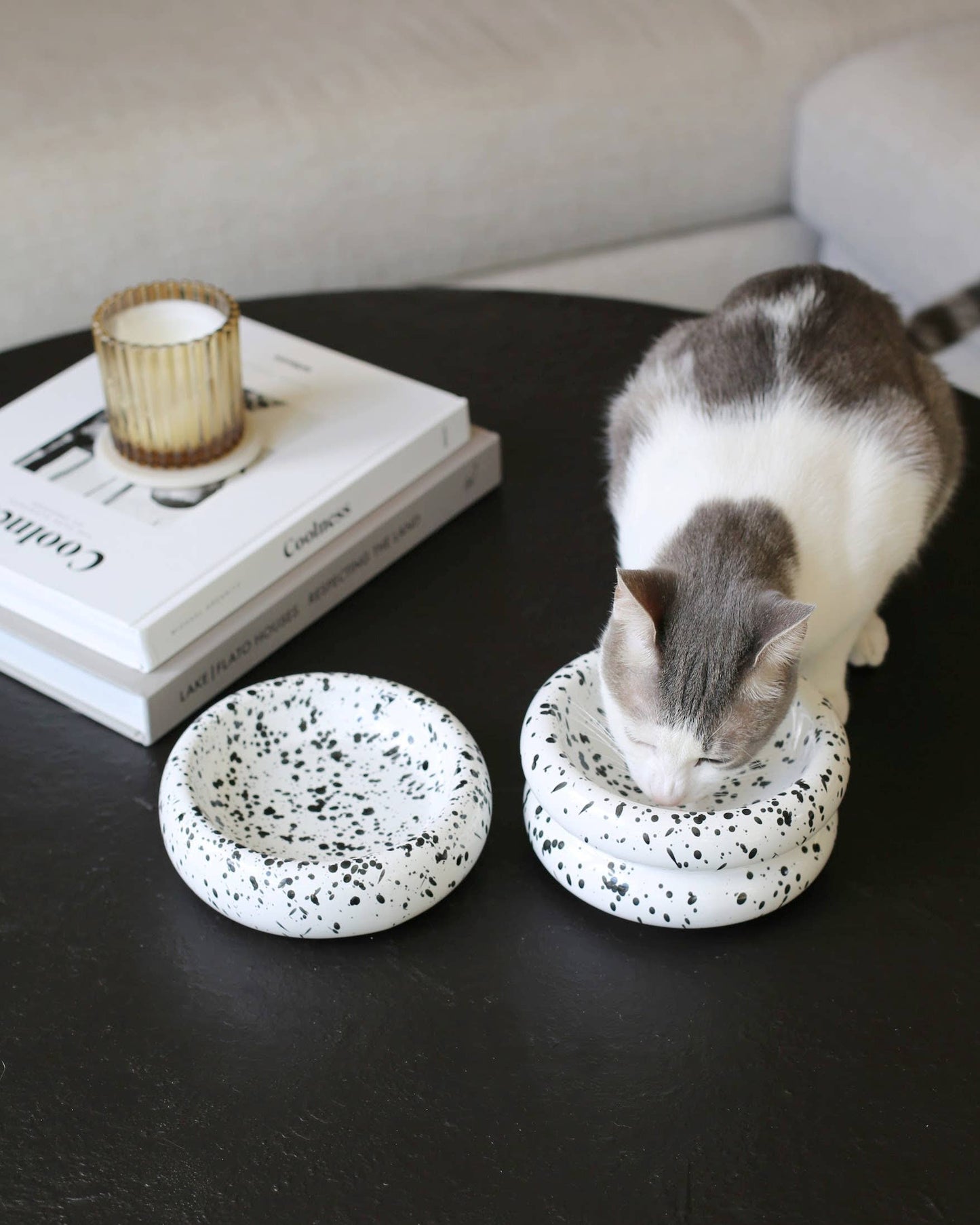 Elevated Halo Cat Bowl in Ink