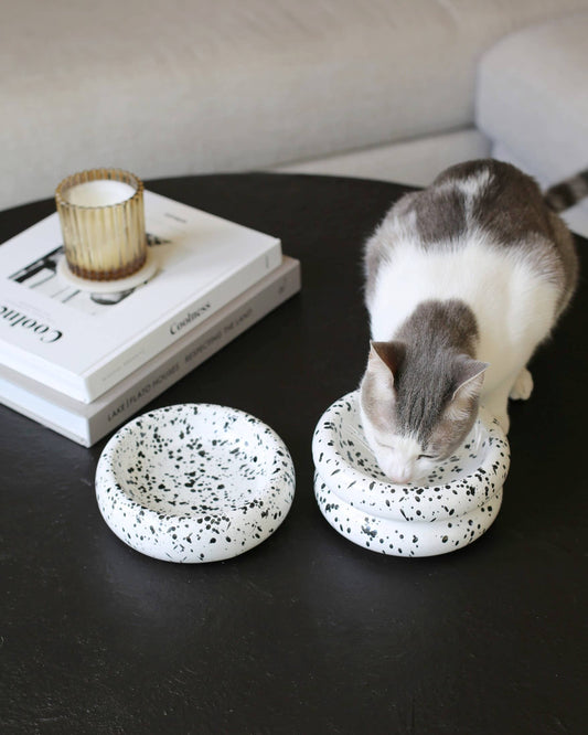 Elevated Halo Cat Bowl in Ink
