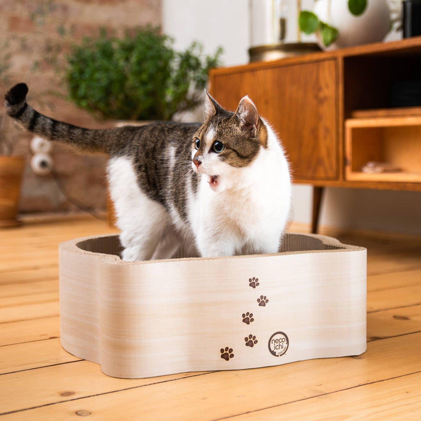 Cat-Headed Scratcher Bed (Birch)
