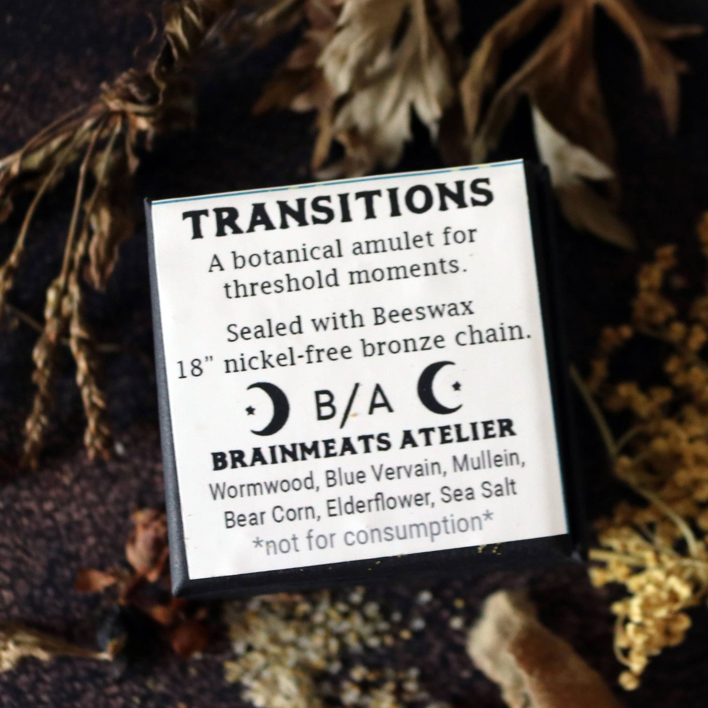 Transitions Amulet - Change and Renewal Talisman with Luna Moth