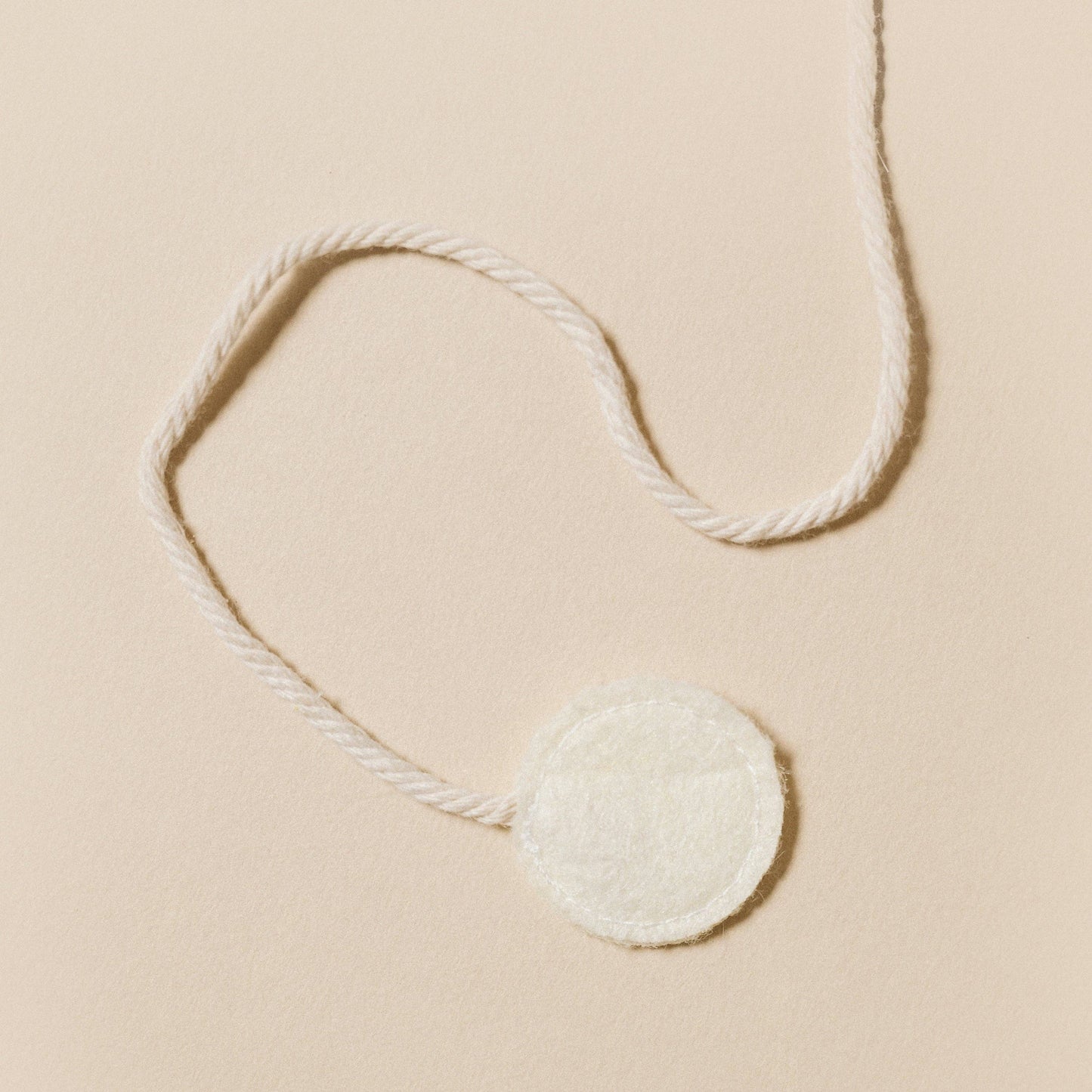 Cat Toy Seashell
