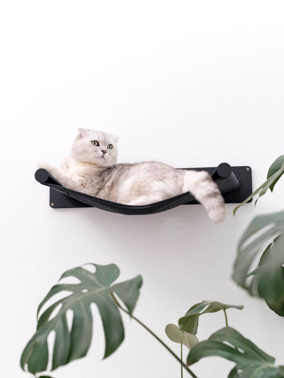 Cat Hammock Shelf