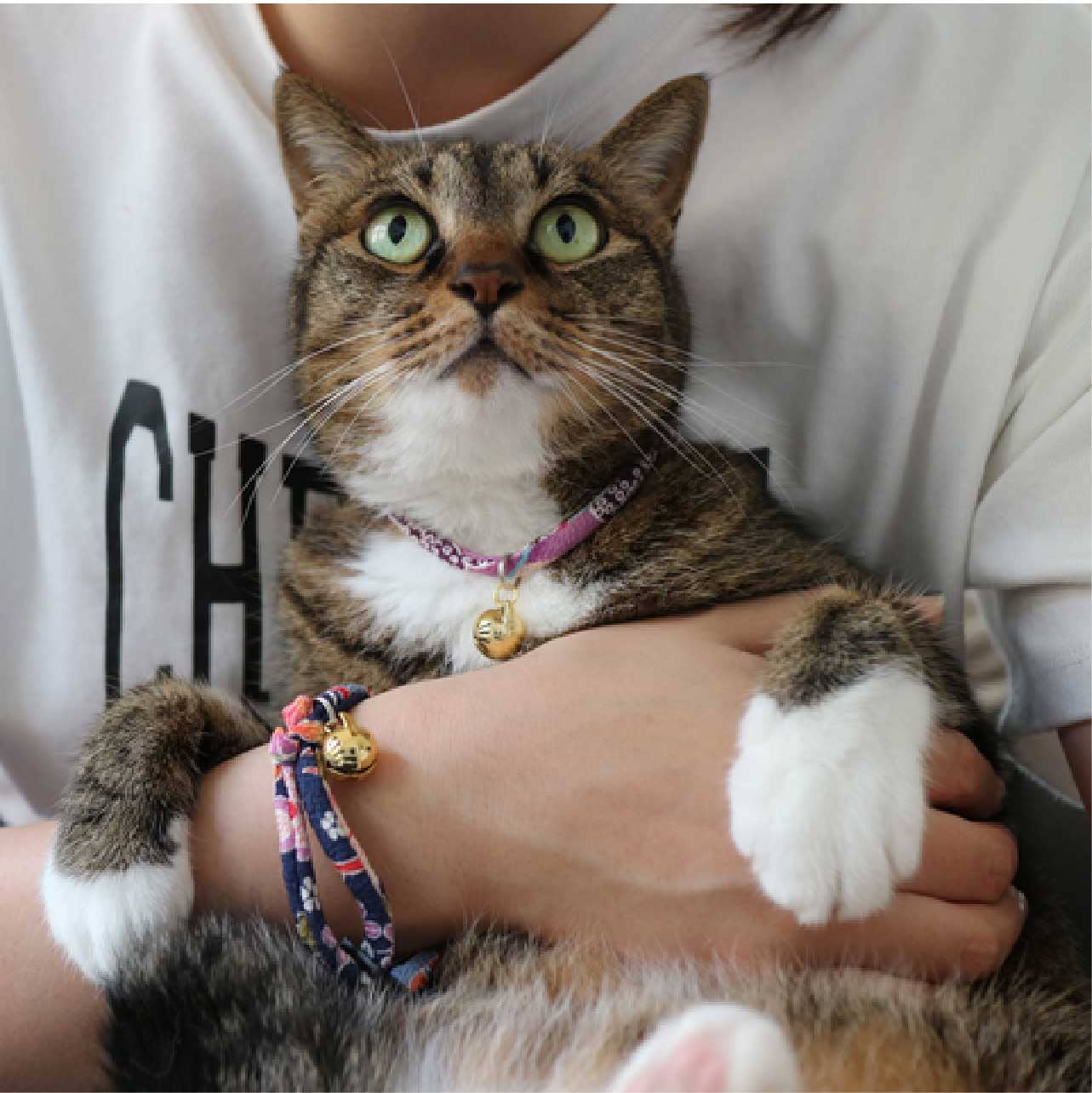 Necoichi Chirimen Hanabi Fireworks Cat Collar